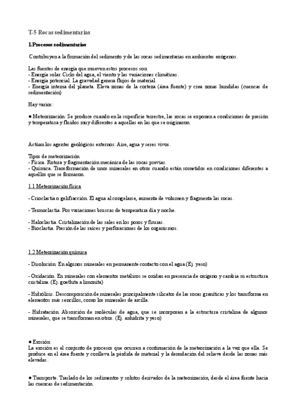 Miniatura del documento T5-Rocas-sedimentarias.pdf