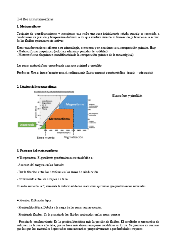Miniatura del documento T4-Rocas-metamorficas.pdf