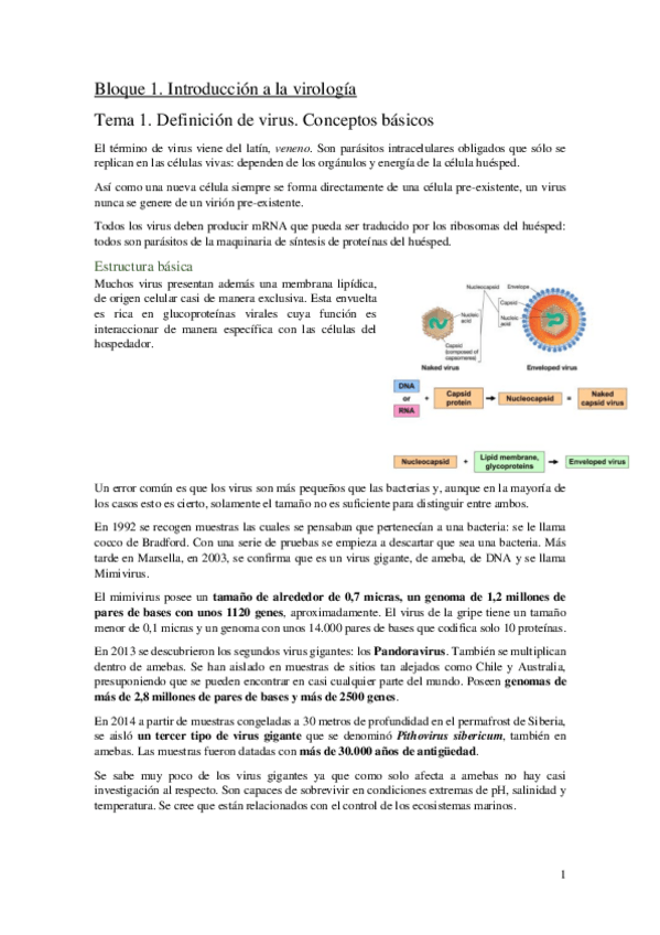 Miniatura del documento Bloque-1.pdf