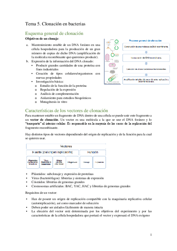 Miniatura del documento Tema-5.pdf
