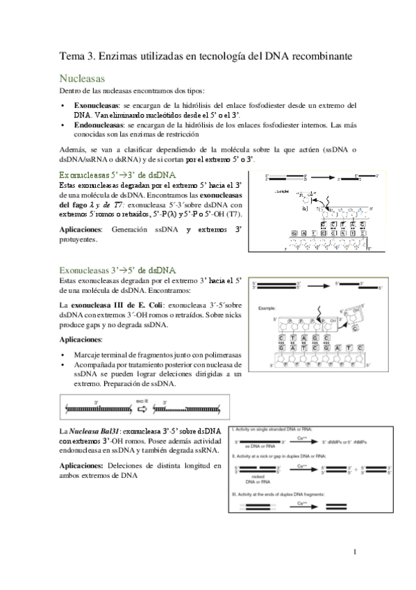 Miniatura del documento Tema-3.pdf