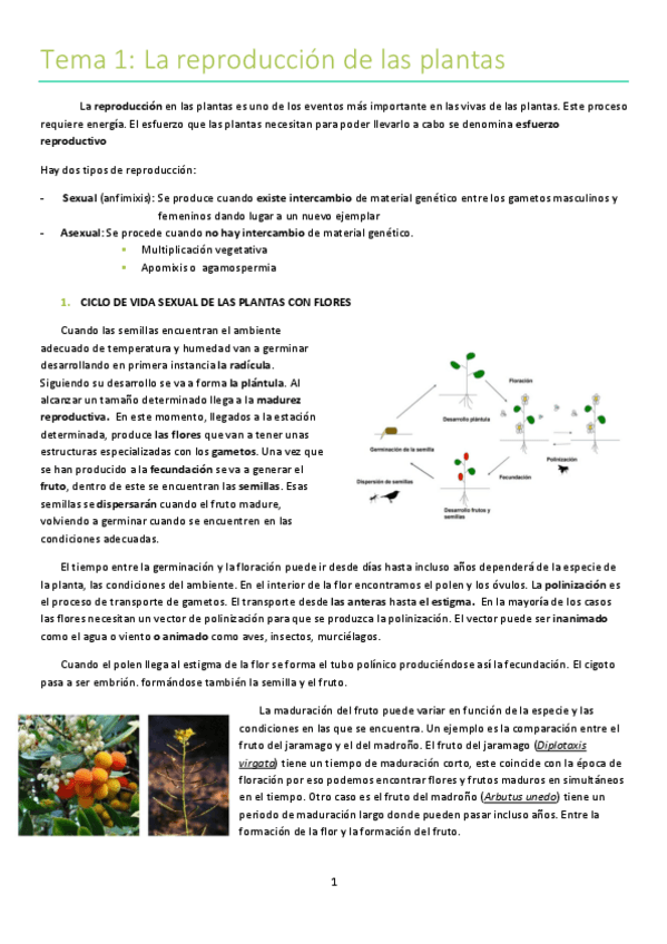 Miniatura del documento tema-1.pdf