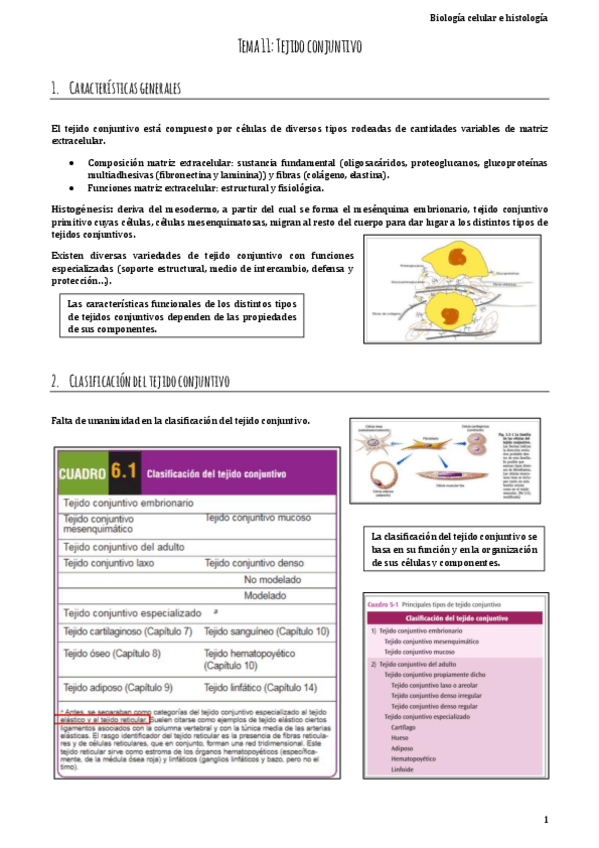 Miniatura del documento Biologia.pdf