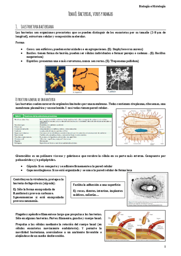 Miniatura del documento Biologia.pdf