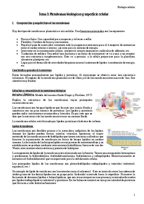 Miniatura del documento Biologia.pdf