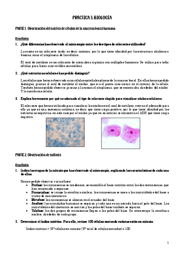 Miniatura del documento Practica-3.pdf