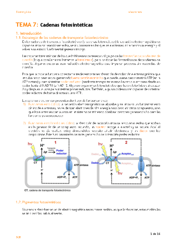 Miniatura del documento T7.pdf
