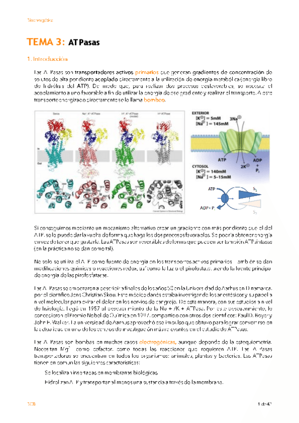 Miniatura del documento T3.pdf