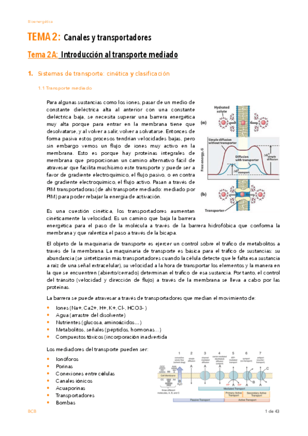 Miniatura del documento T2.pdf