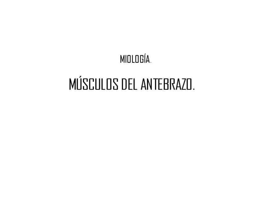 Miniatura del documento Extremidad-superior.pdf