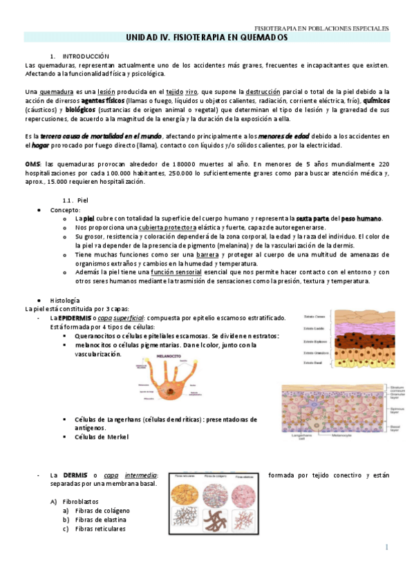 Miniatura del documento UNIDAD-IV.pdf
