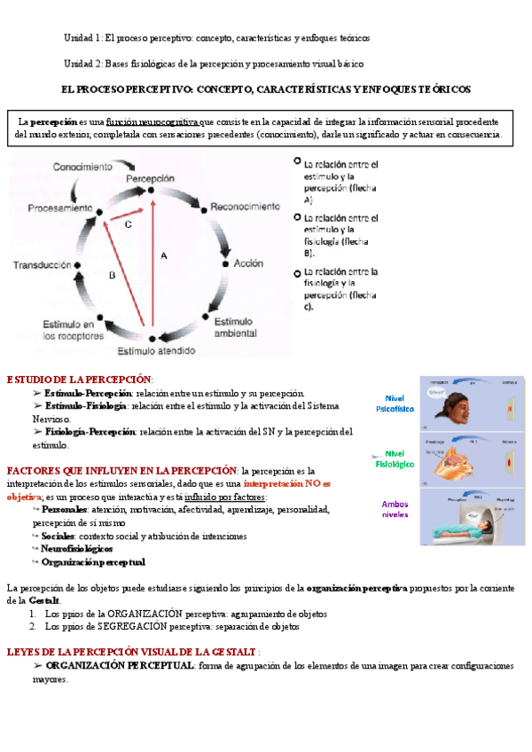 Miniatura del documento Bloque-III-Percepcion-.pdf