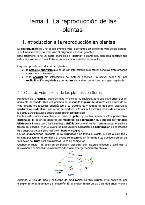 Miniatura del documento Tema-1.pdf