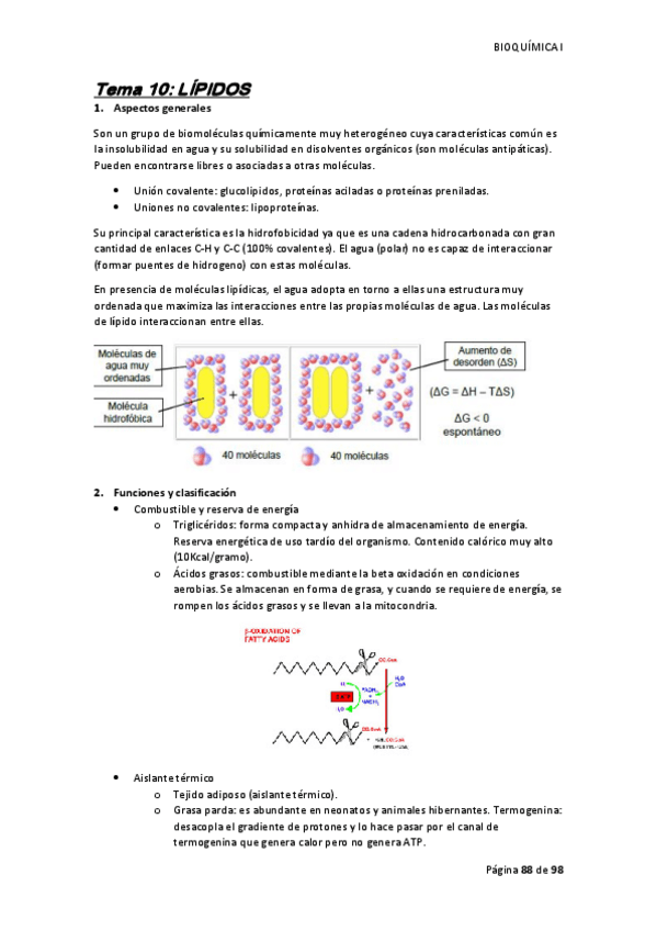 Miniatura del documento Tema-10.pdf