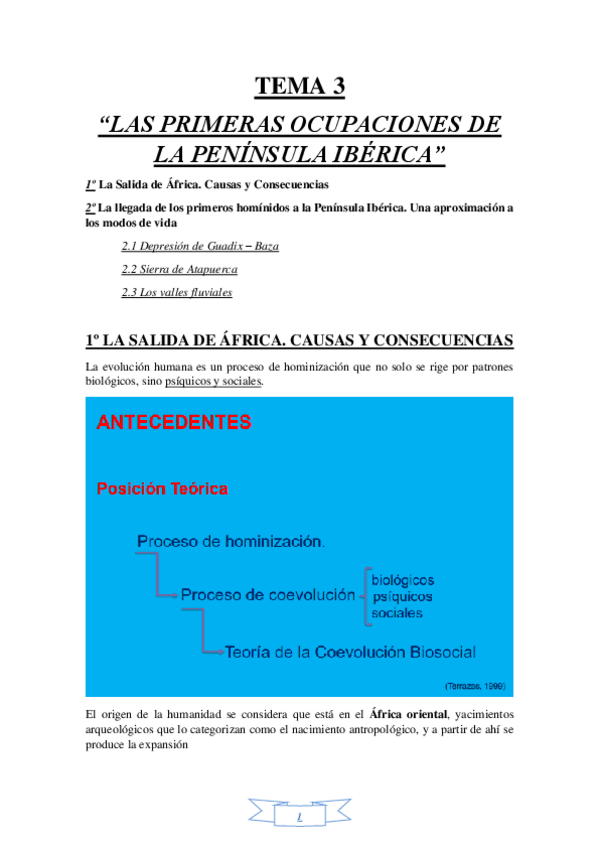 Miniatura del documento LAS-PRIMERAS-OCUPACIONES-HUMANAS-DE-LA-PENINSULA-IBERICA.pdf