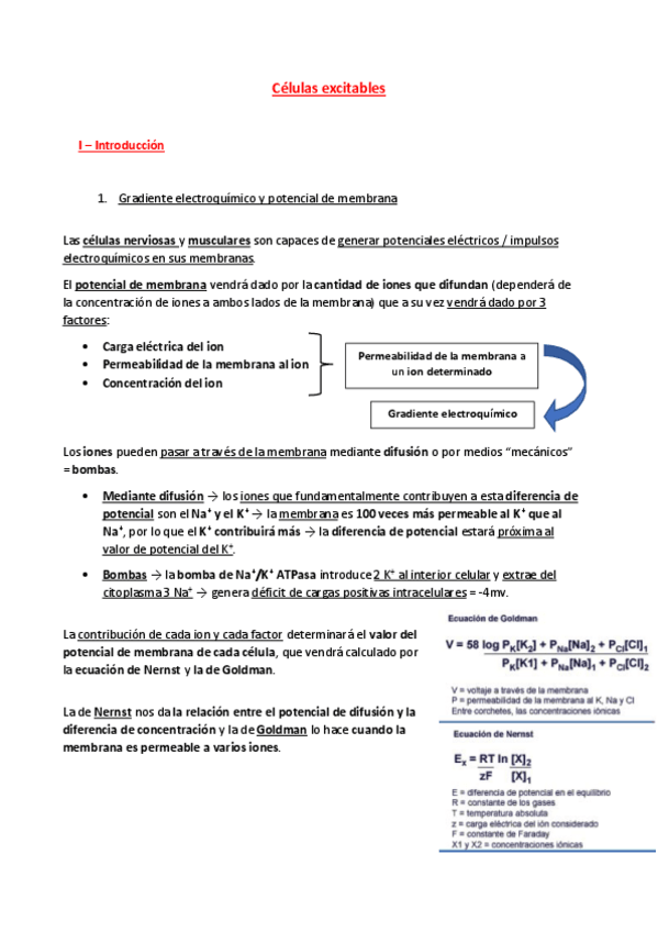 Miniatura del documento 13-Celulas-excitables.pdf