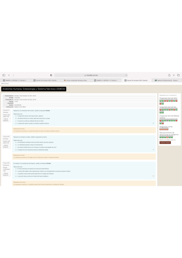 Miniatura del documento Captura-de-pantalla-2021-10-19-a-las-23.pdf