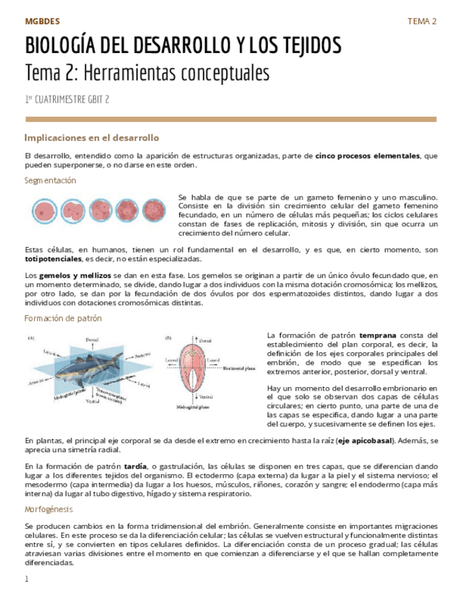 Miniatura del documento PAR1Tema-2-Herramientas-conceptuales.pdf