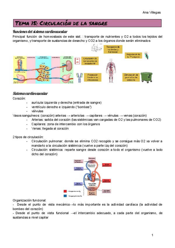 Miniatura del documento TEMA-15.pdf