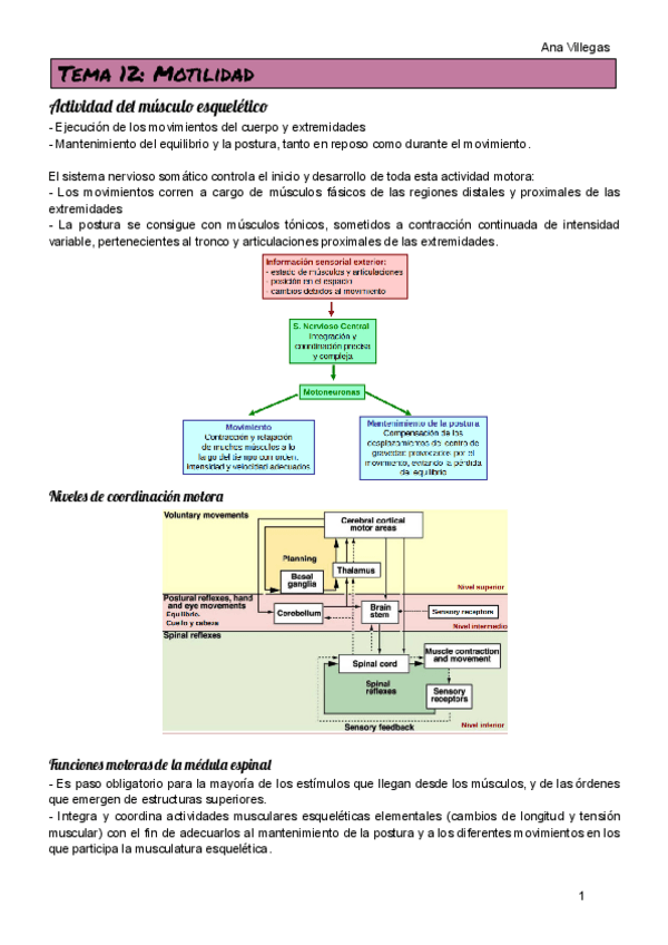 Miniatura del documento TEMA-12.pdf