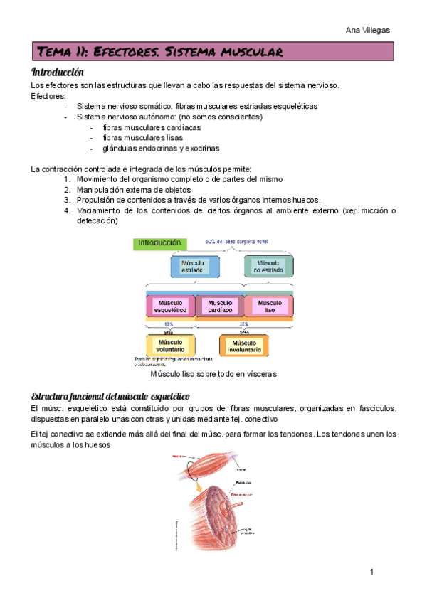 Miniatura del documento TEMA-11.pdf