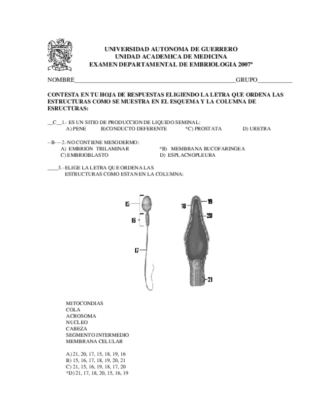 Miniatura del documento SEGUNDO (2).docx