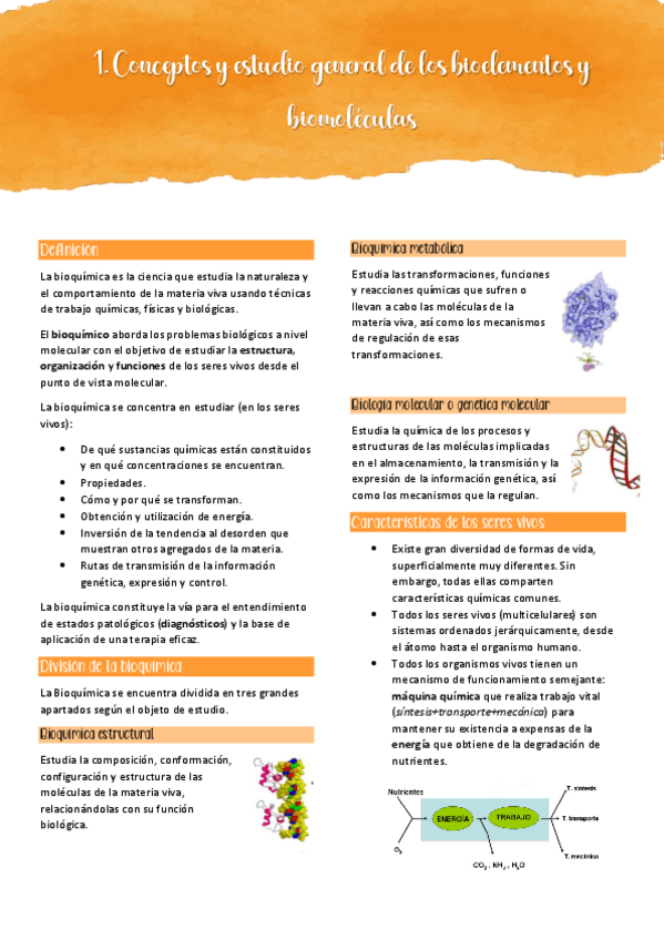 Miniatura del documento 1.pdf