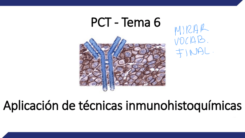 Miniatura del documento Tema-6-proce-Aplicacion-de-tecnicas-inmunohistoquimicas.pdf