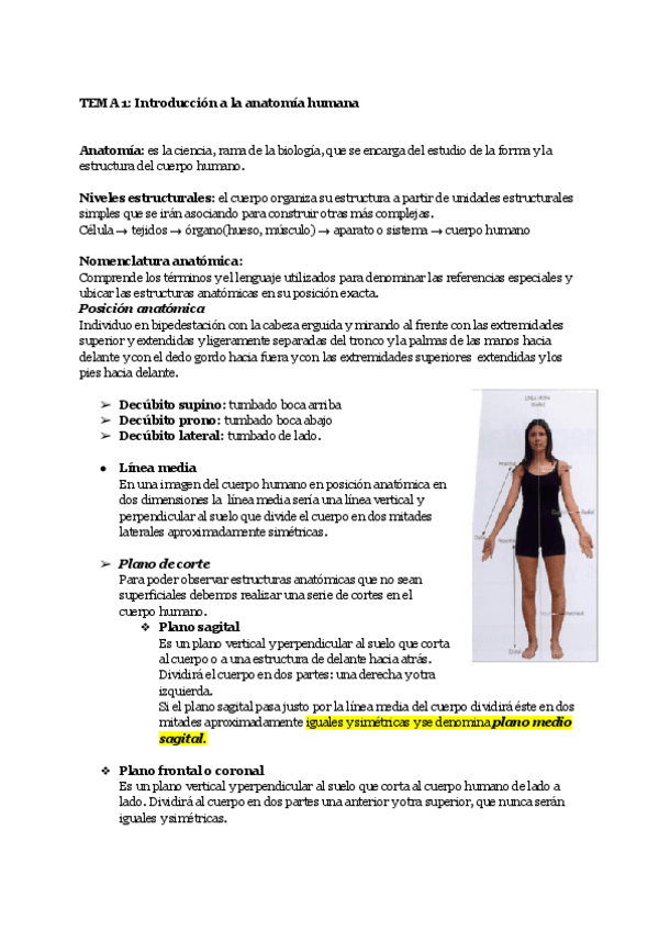 Miniatura del documento ANATOMIA-HUMANA.pdf