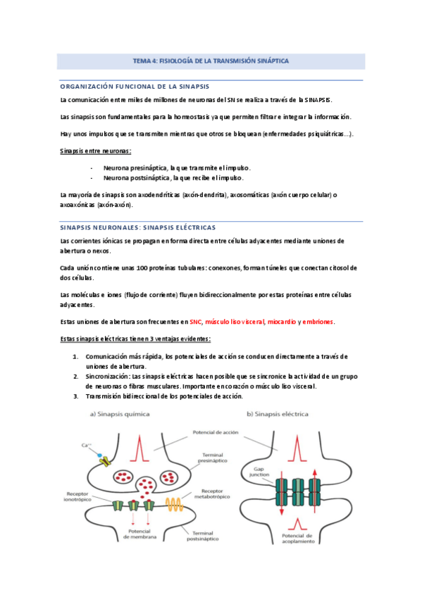 Miniatura del documento TEMA-4-modulo-1.pdf