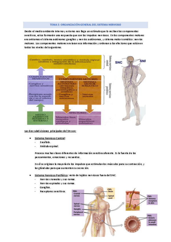 Miniatura del documento TEMA-5-modulo-1.pdf