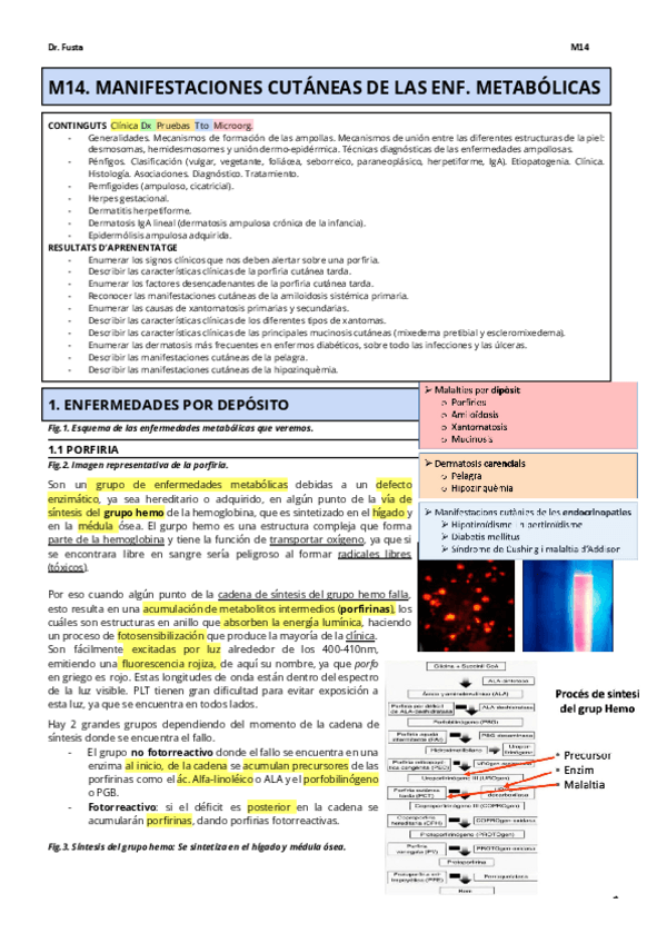Miniatura del documento M14.pdf