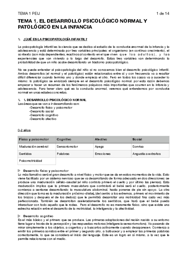 Miniatura del documento TEMA-1-PEIJ.pdf