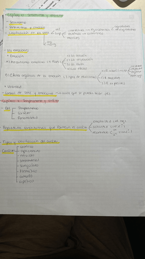 Miniatura del documento cap-10-y-11.jpg