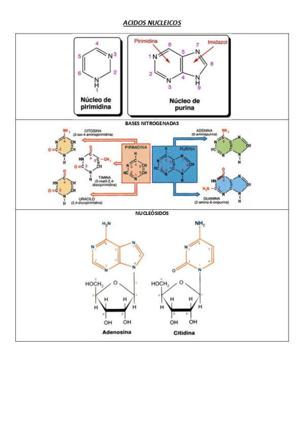 Miniatura del documento 5.pdf