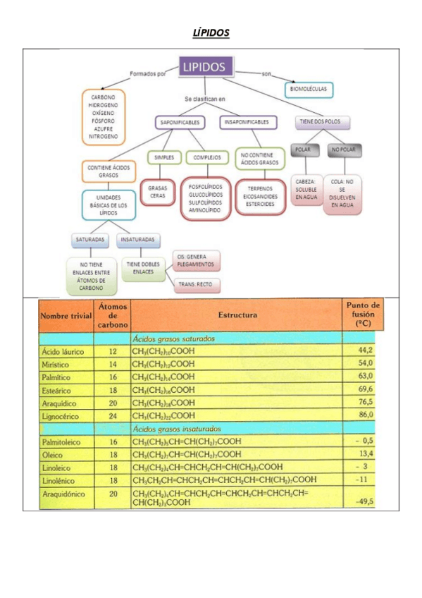 Miniatura del documento 3.pdf