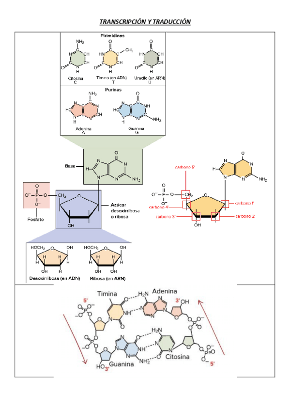 Miniatura del documento 12.pdf