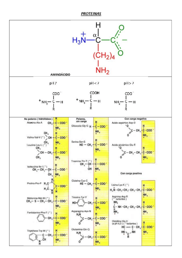 Miniatura del documento 7.pdf