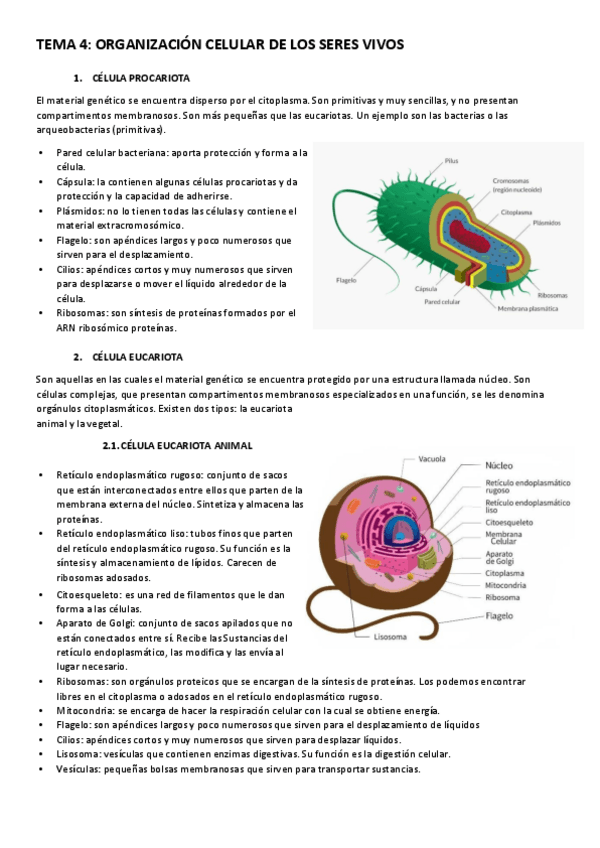 Miniatura del documento 15.pdf