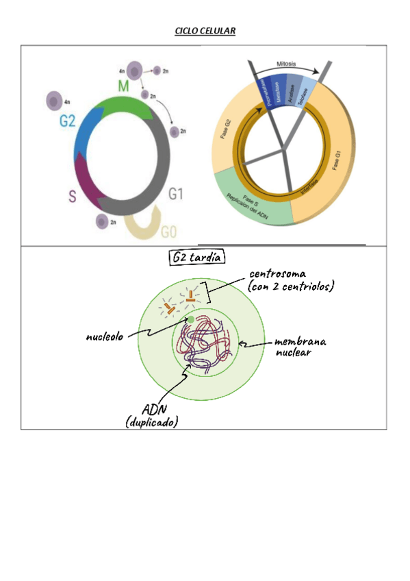 Miniatura del documento 13.pdf