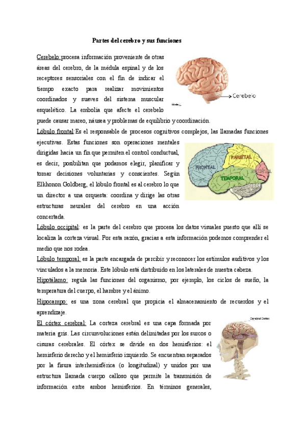 Miniatura del documento PRACTICA-5.pdf