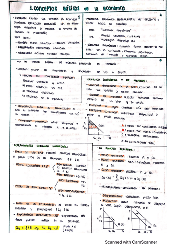 Miniatura del documento TEMA-1-conceptos-basicos-economia.pdf