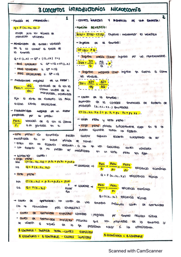 Miniatura del documento TEMA-3-microeconomia.pdf
