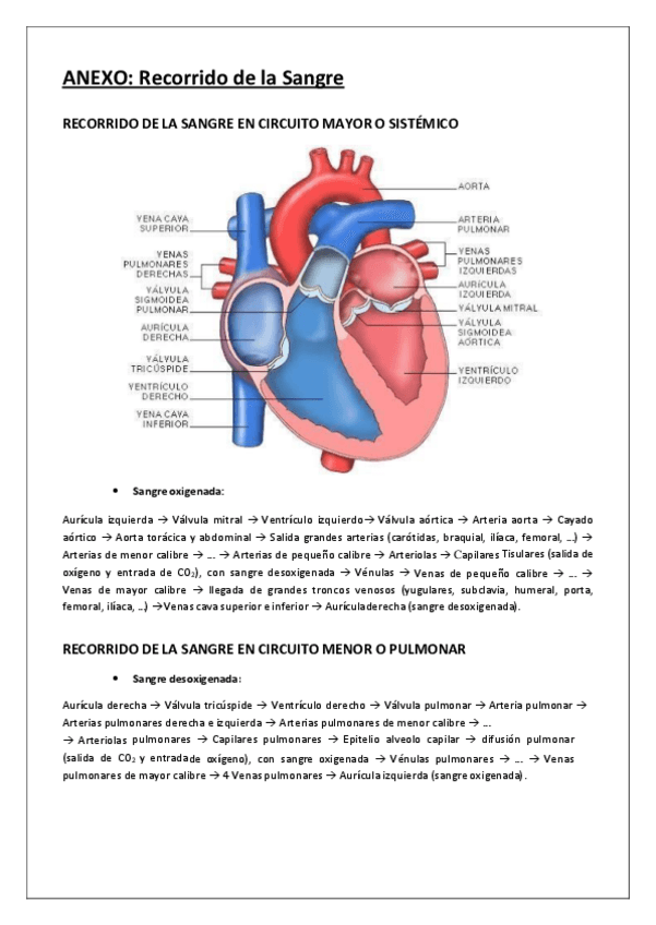 Miniatura del documento Anexo-Recorrido-de-la-Sangre.pdf
