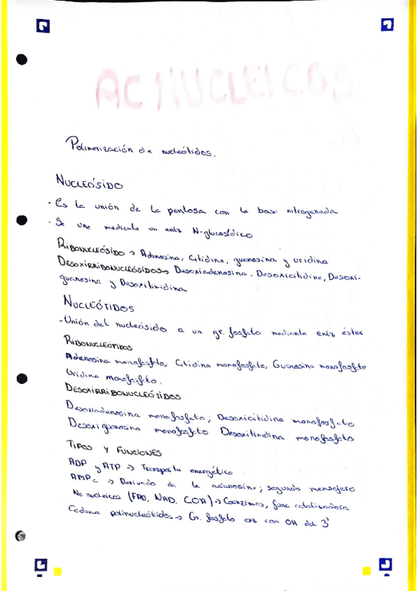 Miniatura del documento Acidos-nucleicos.pdf