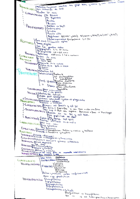 Miniatura del documento Esquema-proteinas.pdf