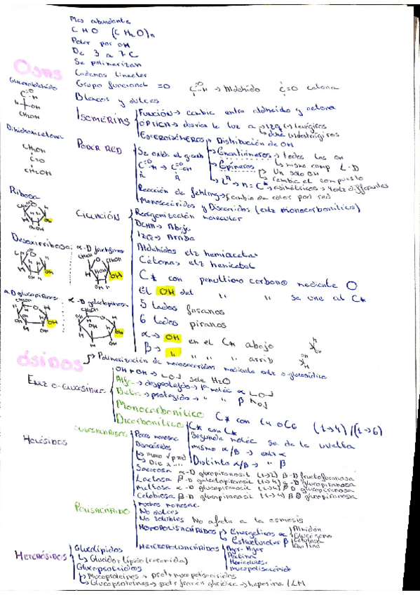 Miniatura del documento Esquema-glucidos.pdf