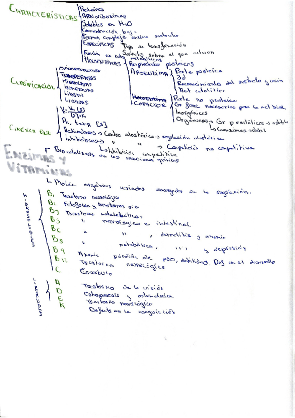 Miniatura del documento Esquema-enzimas-y-vitaminas.pdf