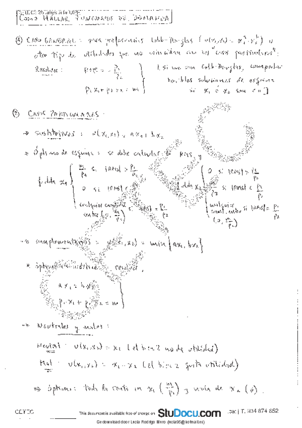 Miniatura del documento apuntes-micro-2.pdf