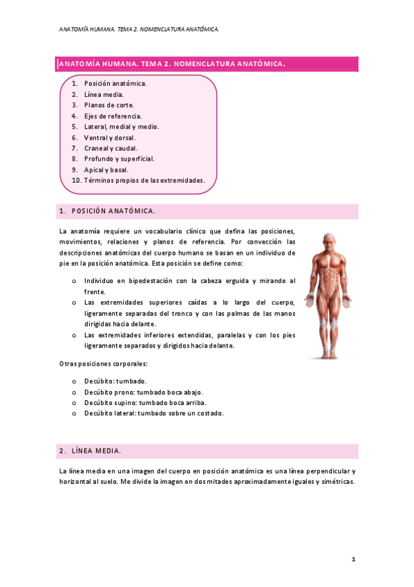 Miniatura del documento Anatomia.pdf